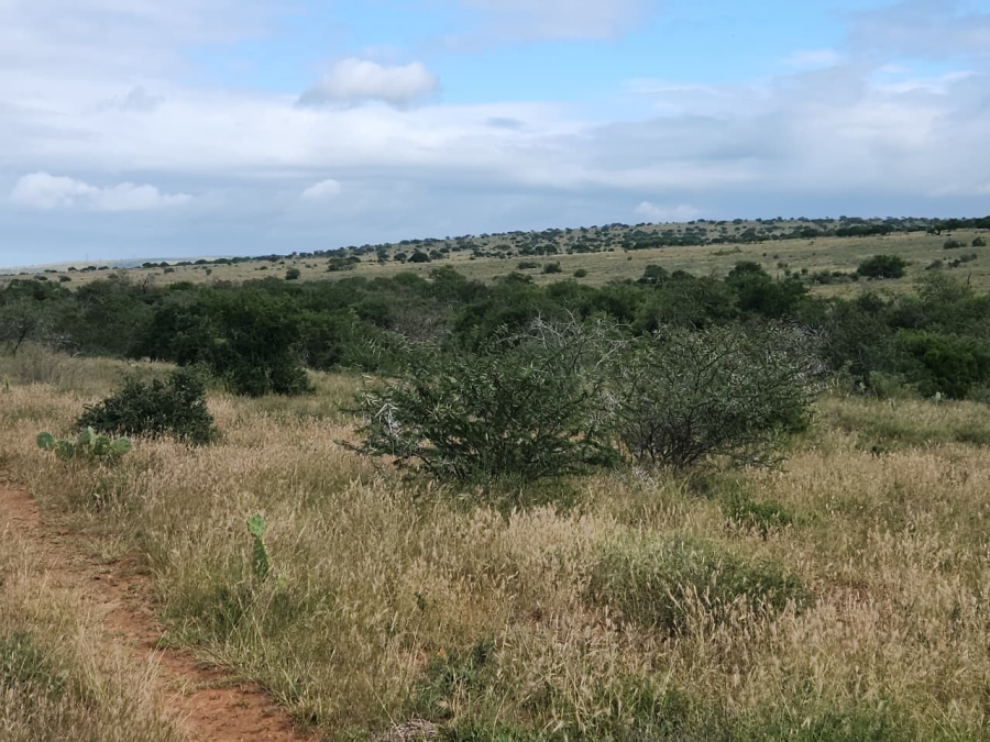 Commercial Property for Sale in Somerset East Rural Eastern Cape